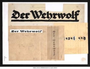 Diederichs-Graphik 0710