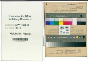 Entnazifizierung August Meichsner , geb. 03.05.1906 (Kraftfahrer)