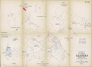 N° VII; Charte von der Dorffeldmark Breesen, Domanial=Amts Gadebusch