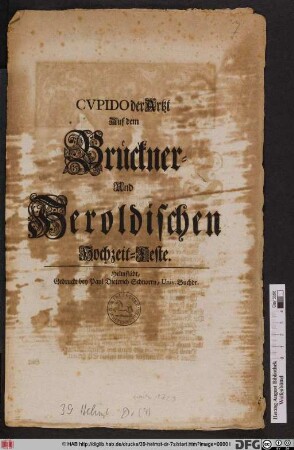 Cvpido der Artzt Auf dem Brückner- Und Heroldischen Hochzeit-Feste