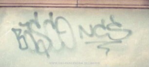 BaSCO NCS