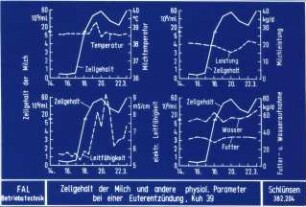 Zellgehalt der Milch und andere physiologische Parameter bei einer Euterentzündung, Kuh 39