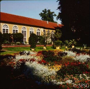 Potsdam, Neuer Garten, Orangerie mit Orangerieparterre.