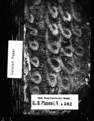 Lehnbuch, Bd. 08
