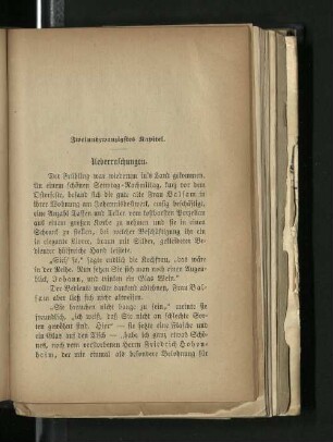 Zweiundzwanzigstes Kapitel. Ueberraschungen.