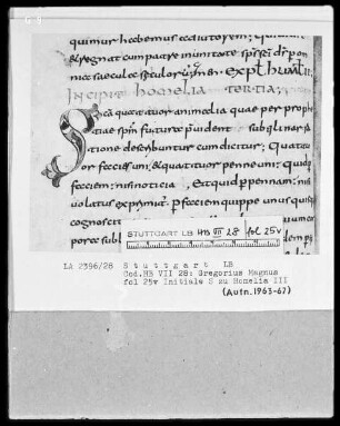 Gregorius Magnus, Homiliae in Ezchielem — Initiale S, Folio 25verso