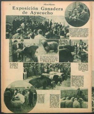 Exposición ganadera de Ayacucho [Fotografías]