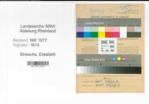 Entnazifizierung Elisabeth Striesche , geb. 17.02.1913 ()