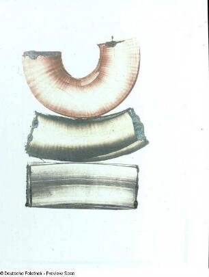 Dennhardt, Klaus: Einzelblatt aus der Mappe 3 - Drei Linien in ihrer Wandlung. Monotypie; 70 x 50 cm. 30.10.1985. Dresden: Leonhardi-Museum, Ausstellung Klaus Dennhardt - flußabwärts vom 9. Juli - 29. August 2004.