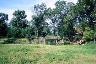 Teich an der Käseburg und Obstbäume