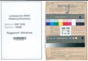 Entnazifizierung Wilhelmine Roggendorf , geb. 12.09.1889 (Lehrerin)