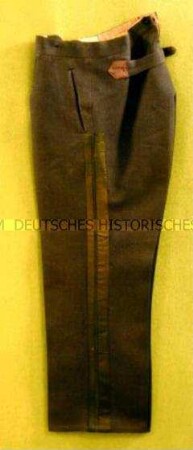 Hose - Uniform eines Forstdirektors in der Dienstuniform des Deutschen Staatsforstdienstes