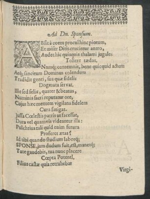 Beiträger: Ad Dn. Sponsum.