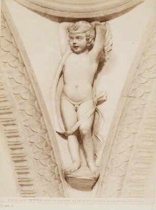 Putto im Gewölbezwickel (15. Jahrhundert), San Giobbe, Venedig