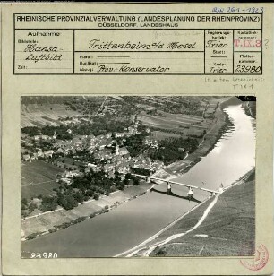 Trittenheim an der Mosel, Gesamtansicht