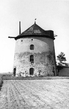 Lampertswalde-Adelsdorf. Turmholländer