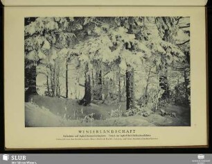 Winterlandschaft Gedruckt von der Buchdruckerei Ernst Hedrich Nachf., Leipzig auf einer Buchdruckschnellpresse