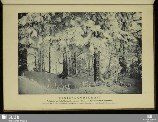 Winterlandschaft Gedruckt von der Buchdruckerei Ernst Hedrich Nachf., Leipzig auf einer Buchdruckschnellpresse