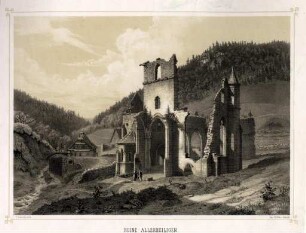 Klosterruine Allerheiligen (Ortenaukreis)