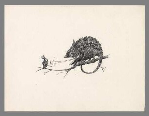 Drache