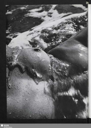 Lichter und Reflexe (Körper im Wasser)
