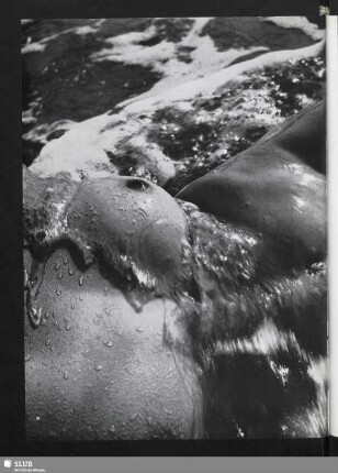 Lichter und Reflexe (Körper im Wasser)