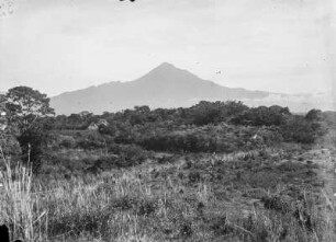 Landschaftsansicht : Vegetationslandschaft und Bergspitze