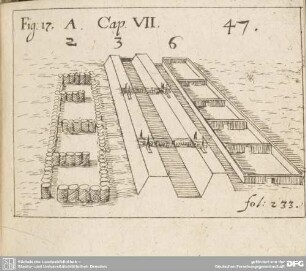 Fig: 17. A. Cap. VII. fol: 233.