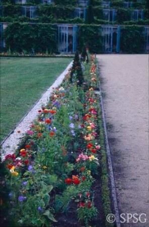 Potsdam, Park Sanssouci, Parterre Große Fontäne, Rabatte mit Blumenbepflanzung.