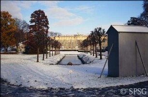 Potsdam, Park Sanssouci, Bullenwiese, Fällung der Kastanien an den Stichgräben.