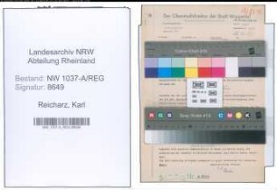 Entnazifizierung Karl Reicharz , geb. 01.04.1884 ()