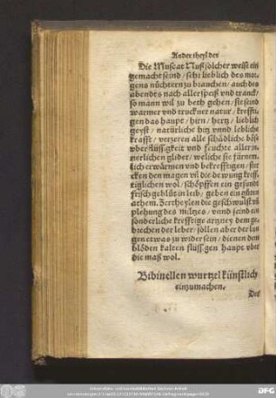 Bibinellen wurtzel künstlich einzumachen.