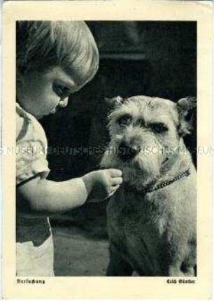 Kleinkind füttert einen Hund