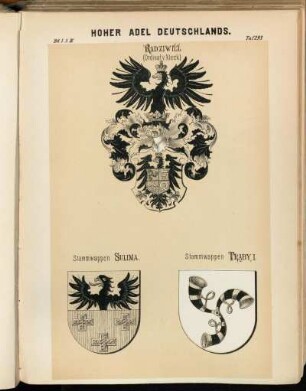 Taf. 293. Radziwill. (Ordinat v. Kleck) - Stammwappen Sulima. - Stammwappen Traby, I.