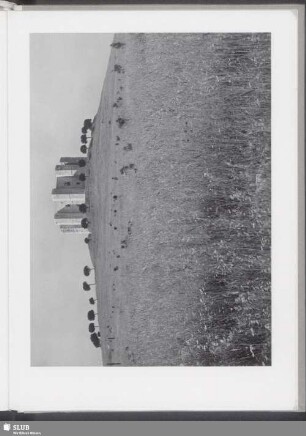 Castel del Monte