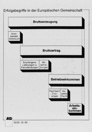 Erfolgsbegriffe in der Europäischen Gemeinschaft