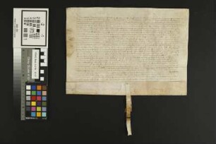 Heppenheim auf der Wiese: Lit. sup. omnes census