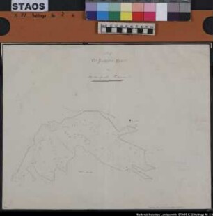 "Das herrschaftliche Gehäge die Markenforst Salm"- östl. Voltlage, Salmer Loh. Umriss, Wege, Bruchwiesen, Ausf.-Art: Zeichnung Herst.: Müller, Förster Format: 32 x 40 cm Maßstab: 1 : ?