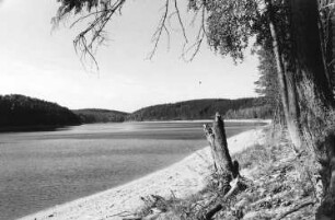 Pretzschendorf. Talsperre Klingenberg im Bereich der ehem. Holzmühle