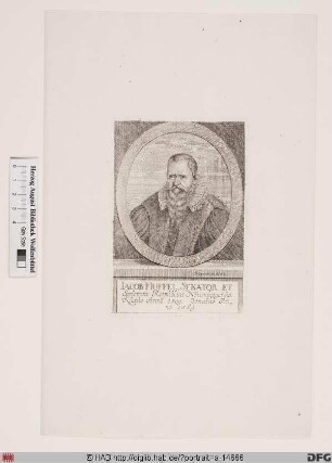 Bildnis Jacob II Muffel (von Eckenhaid)