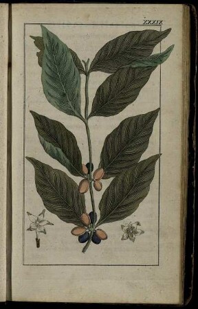 Neunzehntes Stück. Sonnabends, den 13ten Mai 1797