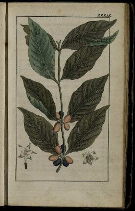Neunzehntes Stück. Sonnabends, den 13ten Mai 1797