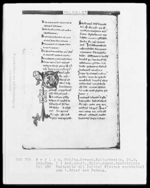 Neutestamentliche Schriften, Bibliorum sacrorum pars finalis — Initiale P(etrus apostolus), Folio 48verso