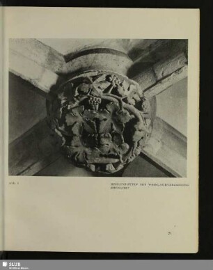 Abb. 5 Schluss-Stein Mit Weinlaubenverzierung Ebendort
