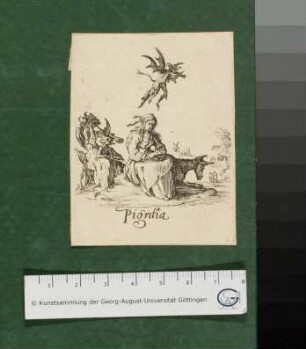 Pigritia