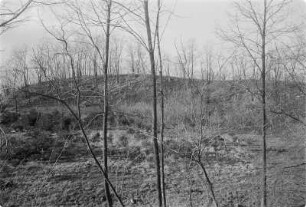 Schwedenschanze bei Kittlitz, Abschnittswall, Slawische Gauburg mit frühdeutscher Nachbesiedlung. : Šwejdske hrodźišćo pola Ketlic.