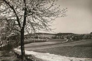 Ortsansicht von Südwesten : Steinigtwolmsdorf (obersorbisch Wołbramecy), Ansicht des Ortes von Südwesten