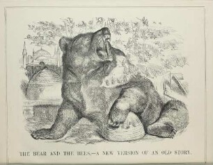 The bear and the bees. - A new version of an old story