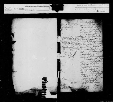 Aufsicht über die Forsten der vereinigten Stiftungen