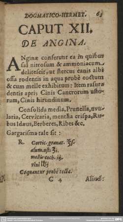 Caput XII. De Angina